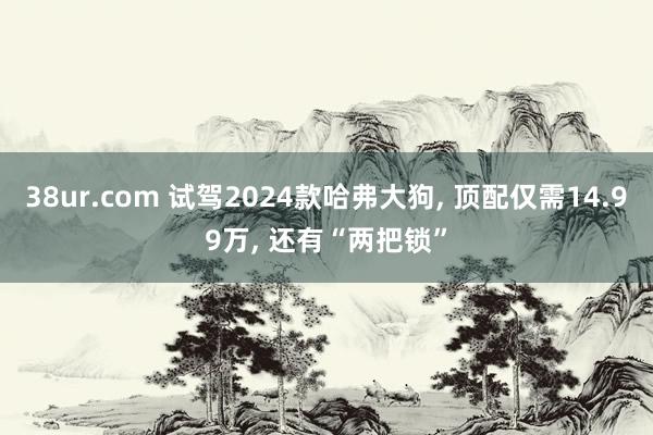 38ur.com 试驾2024款哈弗大狗， 顶配仅需14.99万， 还有“两把锁”