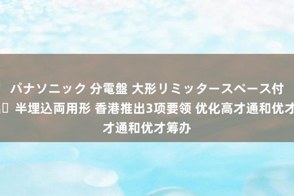 パナソニック 分電盤 大形リミッタースペース付 露出・半埋込両用形 香港推出3项要领 优化高才通和优才筹办