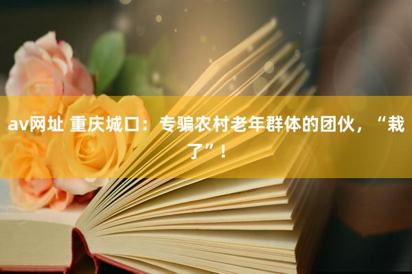 av网址 重庆城口：专骗农村老年群体的团伙，“栽了”！