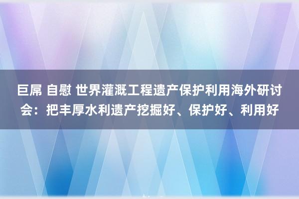 巨屌 自慰 世界灌溉工程遗产保护利用海外研讨会：把丰厚水利遗产挖掘好、保护好、利用好