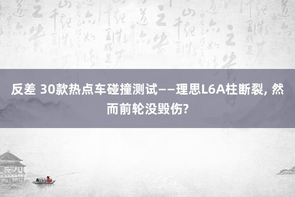 反差 30款热点车碰撞测试——理思L6A柱断裂， 然而前轮没毁伤?