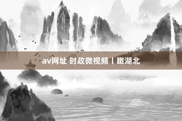 av网址 时政微视频丨瞰湖北