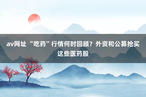 av网址 “吃药”行情何时回顾？外资和公募抢买这些医药股