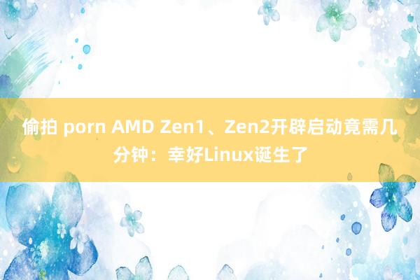 偷拍 porn AMD Zen1、Zen2开辟启动竟需几分钟：幸好Linux诞生了