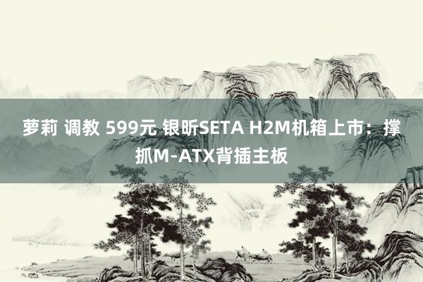 萝莉 调教 599元 银昕SETA H2M机箱上市：撑抓M-ATX背插主板