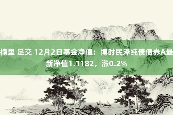 楠里 足交 12月2日基金净值：博时民泽纯债债券A最新净值1.1182，涨0.2%