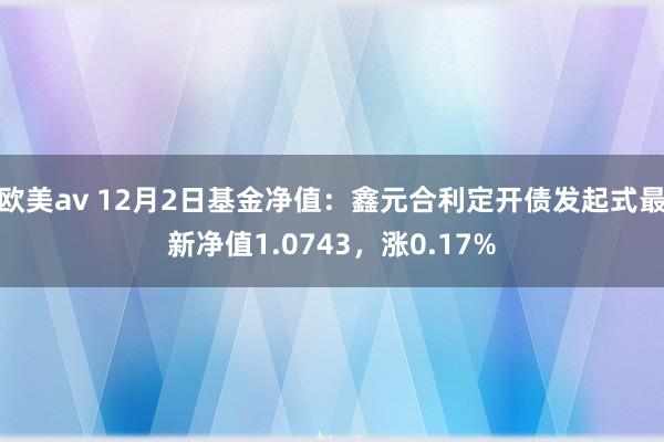 欧美av 12月2日基金净值：鑫元合利定开债发起式最新净值1.0743，涨0.17%