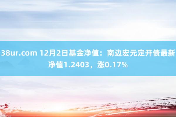 38ur.com 12月2日基金净值：南边宏元定开债最新净值1.2403，涨0.17%