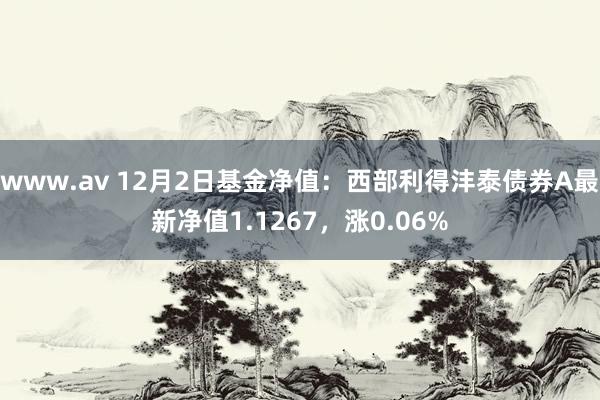 www.av 12月2日基金净值：西部利得沣泰债券A最新净值1.1267，涨0.06%