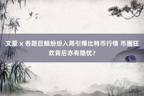 文爱 x 各路巨鲸纷纷入局引爆比特币行情 币圈狂欢背后亦有隐忧？