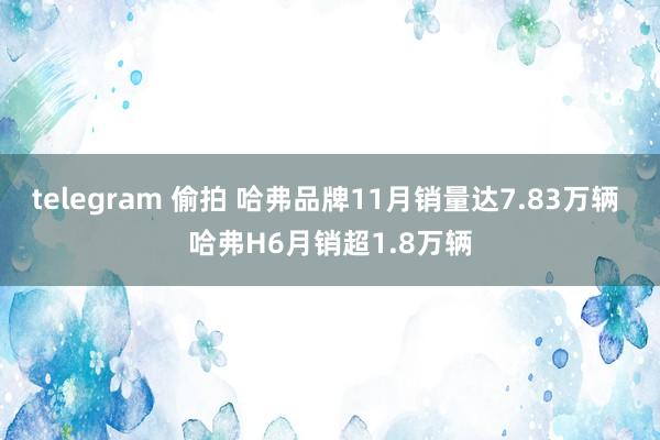 telegram 偷拍 哈弗品牌11月销量达7.83万辆 哈弗H6月销超1.8万辆