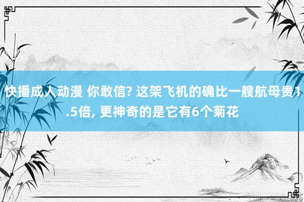 快播成人动漫 你敢信? 这架飞机的确比一艘航母贵1.5倍， 更神奇的是它有6个菊花