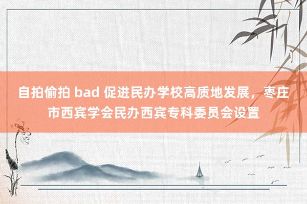 自拍偷拍 bad 促进民办学校高质地发展，枣庄市西宾学会民办西宾专科委员会设置