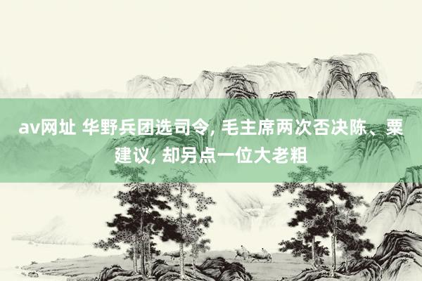 av网址 华野兵团选司令， 毛主席两次否决陈、粟建议， 却另点一位大老粗