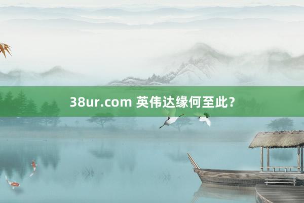 38ur.com 英伟达缘何至此？