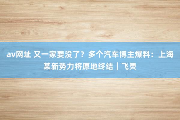 av网址 又一家要没了？多个汽车博主爆料：上海某新势力将原地终结｜飞灵