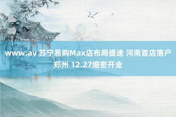 www.av 苏宁易购Max店布局提速 河南首店落户郑州 12.27细密开业