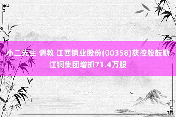 小二先生 调教 江西铜业股份(00358)获控股鼓励江铜集团增抓71.4万股