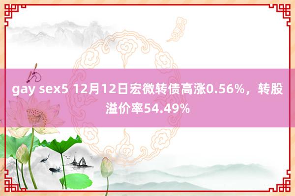 gay sex5 12月12日宏微转债高涨0.56%，转股溢价率54.49%