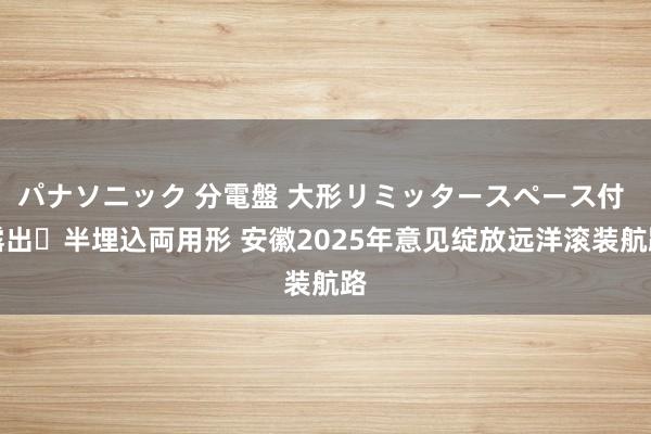 パナソニック 分電盤 大形リミッタースペース付 露出・半埋込両用形 安徽2025年意见绽放远洋滚装航路