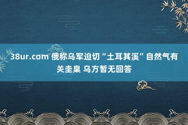 38ur.com 俄称乌军迫切“土耳其溪”自然气有关圭臬 乌方暂无回答