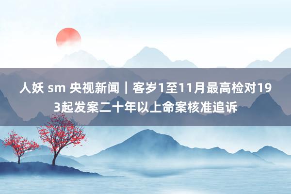 人妖 sm 央视新闻｜客岁1至11月最高检对193起发案二十年以上命案核准追诉