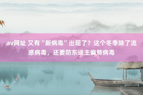 av网址 又有“新病毒”出现了？这个冬季除了流感病毒，还要防东谈主偏肺病毒